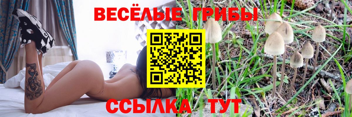 Галлюциногенные грибы GOLDEN TEACHER Кувандык